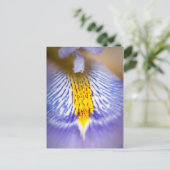 Lila Iris Postkarte (Stehend Vorderseite)