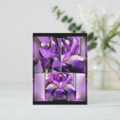 Lila Iris Postkarte (Stehend Vorderseite)