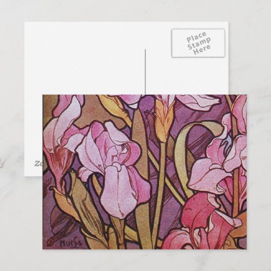 Lila Iris Postkarte (Vorne/Hinten)