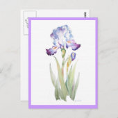 Lila Iris Postkarte (Vorne/Hinten)