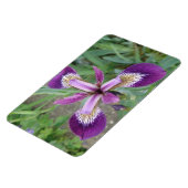 Lila Iris Premium Magnet (Linke Seite)