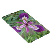Lila Iris Premium Magnet (Rechte Seite)