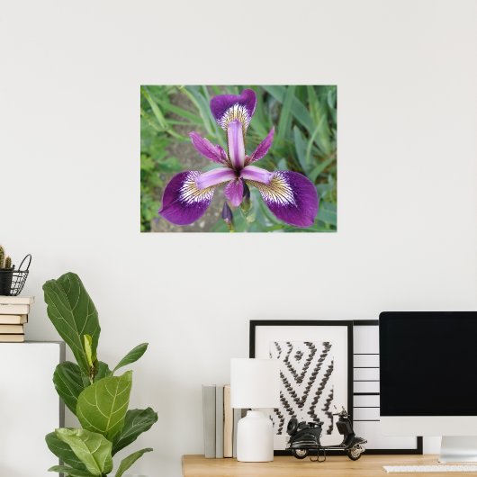 Lila Iris Print Poster (Heimbüro)
