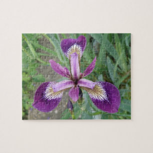 Lila Iris Puzzle