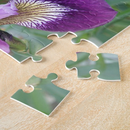 Lila Iris Puzzle (Seite)