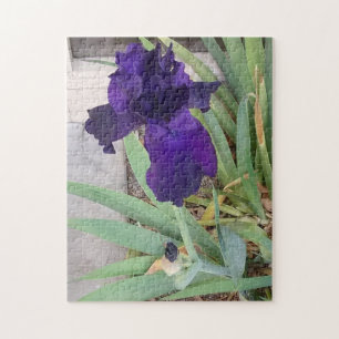 Lila Iris Puzzle