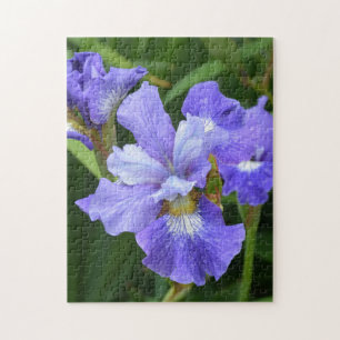 Lila Iris Puzzle