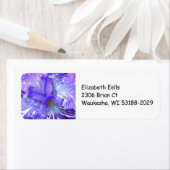 Lila Iris-Rücksendeadresse (Insitu)