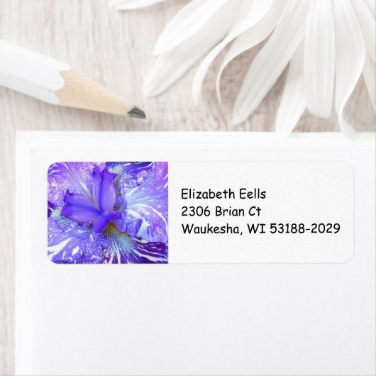 Lila Iris-Rücksendeadresse (Insitu)