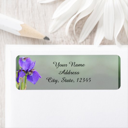 Lila Iris-Rücksendeadresse (Insitu)