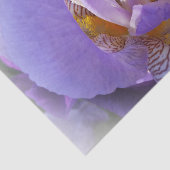 lila Iris Seidenpapier (Ausschnitt)