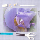lila Iris Seidenpapier (Handwerk)