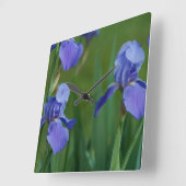 Lila Iris Square Uhr (Winkel)