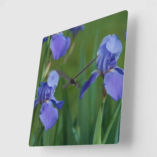 Lila Iris Square Uhr (Winkel)