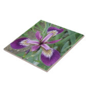 Lila Iris Tile Fliese (Seite)