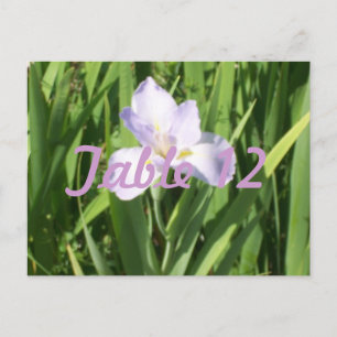 Lila Iris-Tischnummer Postkarte