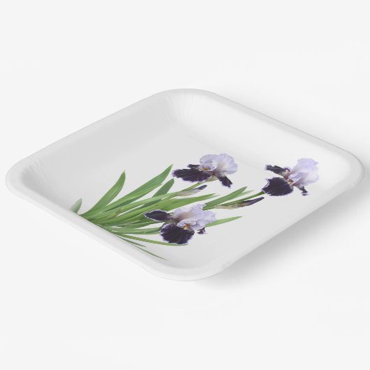 Lila Iris Trio Botanische Kunst Pappteller (Gewinkelt)