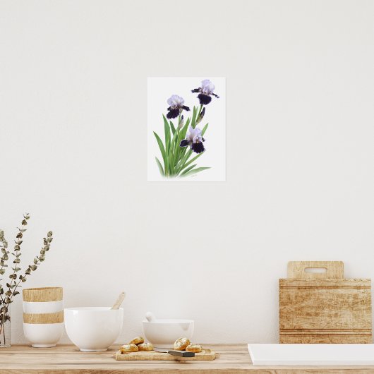 Lila Iris Trio Originale Kunstdruckerei Poster (Küche)
