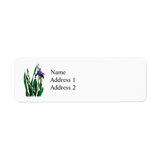 Lila Iris und Buds (Vorne)