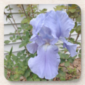 Lila Iris Untersetzer (Vorderseite)