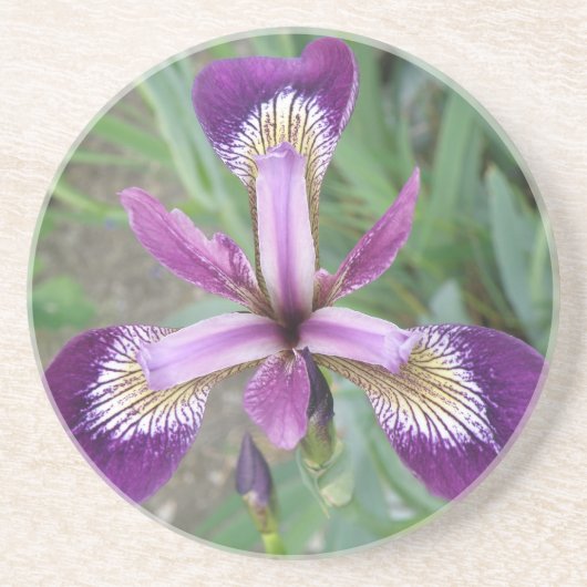 Lila Iris-Untersetzer Untersetzer (Vorne)