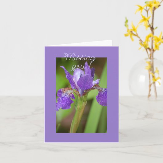 Lila Iris - Vermisste Karte (Gelbe Blume)