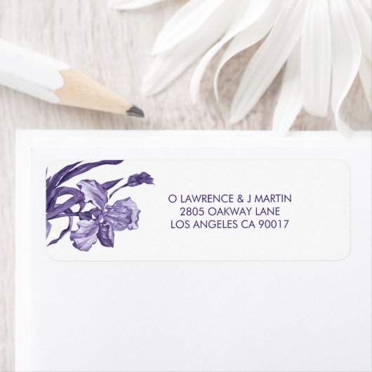 Lila Iris Watercolor (Insitu)