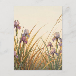 Lila-Iris-Wiese Goldenes Gras Landschaft Postkarte