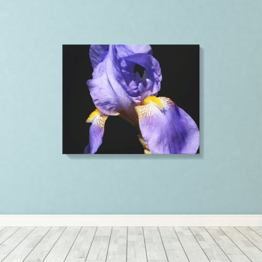 Lila Iris Wrapped Canvas Leinwanddruck (Insitu (Holzboden))