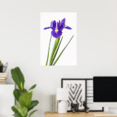 Lila Irisblende auf weißem Poster (Heimbüro)