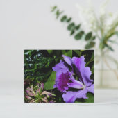 Lila Irisblende im Botanischen Garten Postkarte (Stehend Vorderseite)