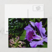 Lila Irisblende im Botanischen Garten Postkarte (Vorne/Hinten)