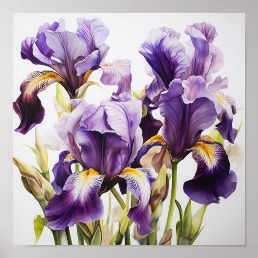 Lila Irische Blume Art Print Poster (Vorne)