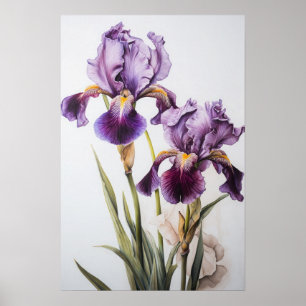 Lila Irische Blume Art Print Poster