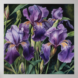 Lila Irische Blume Art Print Poster