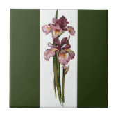 Lila Irises Dark Green Fliese (Vorderseite)
