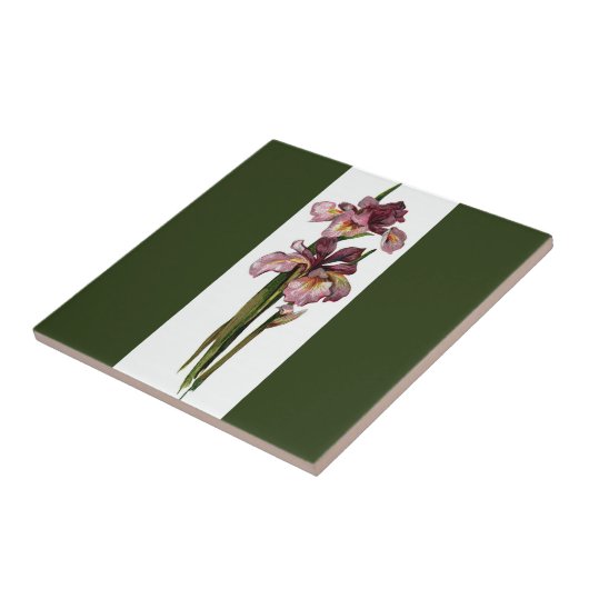 Lila Irises Dark Green Fliese (Seite)