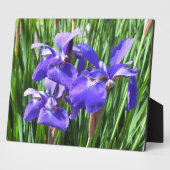 Lila Irises Foto Plaque Fotoplatte (Seite)