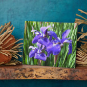 Lila Irises Foto Plaque Fotoplatte (Seite)