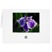 Lila Iriskarte (Rückseite Horizontal)