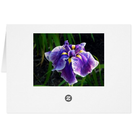 Lila Iriskarte (Rückseite Horizontal)