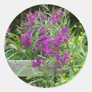 Lila Ironweed-Wildblumen - Vernonia gigantea Runder Aufkleber