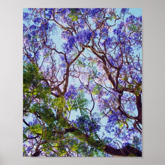 Lila Jacaranda-Baum-Ölgemälde, Poster (Vorne)