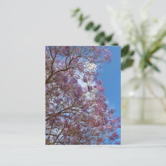 Lila Jacaranda-Baum Postkarte (Stehend Vorderseite)