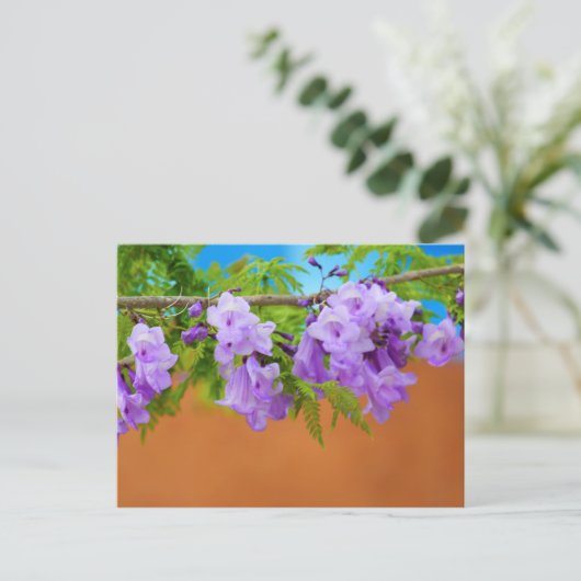 Lila Jacaranda-Blume Postkarte (Stehend Vorderseite)