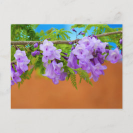Lila Jacaranda-Blume Postkarte