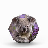 Lila Jacaranda Koala Bear, Fotoblock (Vorderseite)