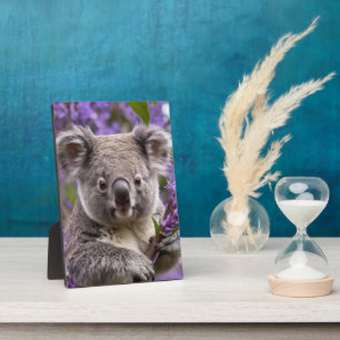 Lila Jacaranda Koala Bear, Fotoplatte