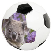 Lila Jacaranda Koala Bear, Fußball (Dreiviertel)
