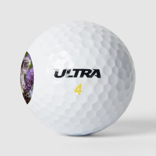 Lila Jacaranda Koala Bear, Golfball (Logo)